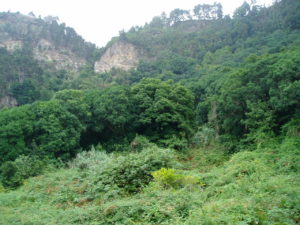 Barranco Ruiz (parte superior)