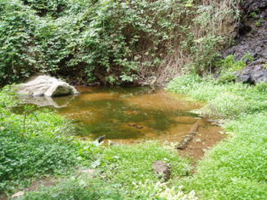 Barranco Ruiz - Charco de Agua