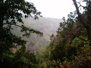 Barranco Ruiz - Panorámica del Sendero