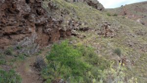 SL-2 Cueva Bermeja (Barranco Guayadeque) - Temisas