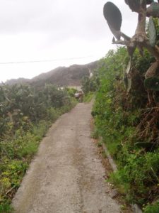 Inicio - Lomo Las Bodegas hacia Barranco de Anosma