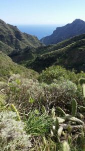 Barranco de Anosma (panorámica)