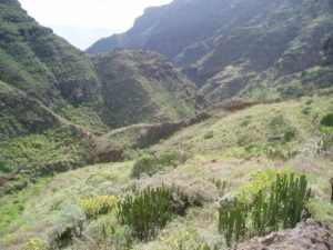 Barranco de Anosma (panorámica)