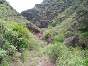 Barranco de Anosma - Cauce Rocoso