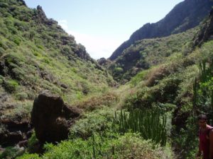Barranco de Anosma