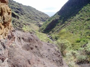 Barranco de Anosma - Cauce