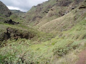 Barranco de Anosma - Cauce