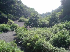 Barranco de Badajoz - Escombrera Galería de Izaña
