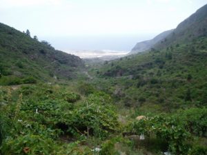 Badajoz de Badajoz - Vistas hacia el Puertito de Güimar