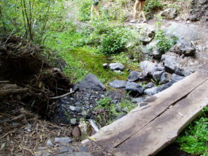 Barranco del Infierno - Puente de madera