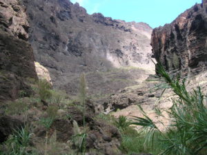 Panorámica Barranco Masca