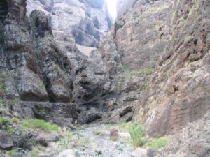 Cauce Barranco de Masca