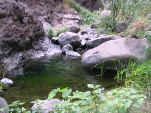 Charcos en Barranco de Masca