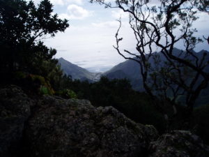 Paisaje en ruta del Pijaral
