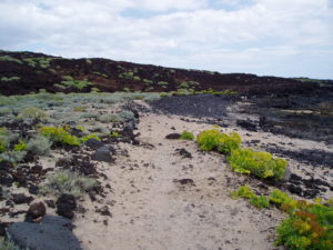 Playa Las Arenitas en Malpais de Güimar