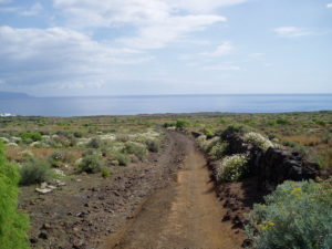 Sendero Malpaís de Güimar