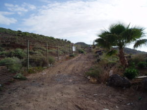 Inicio Sendero (Malpaís de la Rasca)