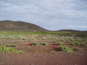 Malpaís de la Rasca