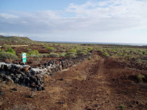 Malpaís de la Rasca (muro piedra)