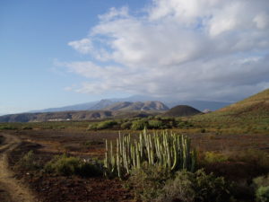 Malpaís de la Rasca
