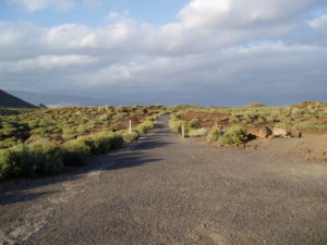 Carretera Asfalto desde el Faro de la Rasca