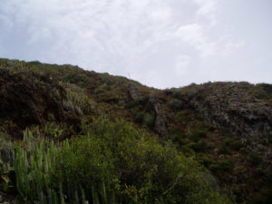 Sendero Antequera (por Casillas)