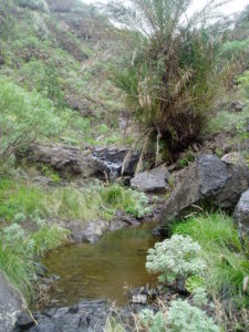 Barranco Valle Luis - Charcas