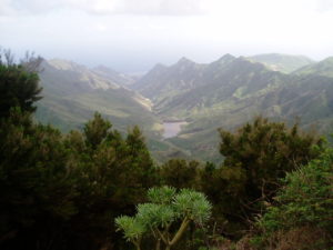 Presa de Tahodio - Vista desde Jardina