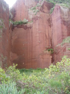 Camino a Presa Tahodio