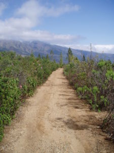 Ventanas de Güimar (Inicio hacia el canal)
