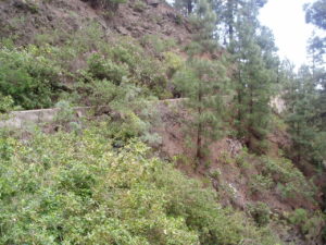 Canal hacia pista las coloradas