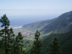 Panorámica del Valle de Güimar (abajo Mirador de Don Martín)