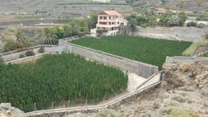 Fincas de la Vivienda que se encuentra próxima al parking de la Punta de Juan Centella