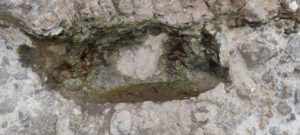 Fuente Natural de Montaña Tafada