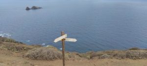 Cruce de Caminos PR-TF 6