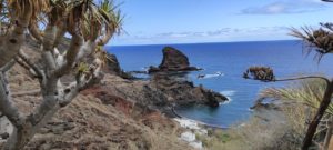 Playas de Roque Bermejo