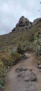 Roque Bichuelo - Chamorga